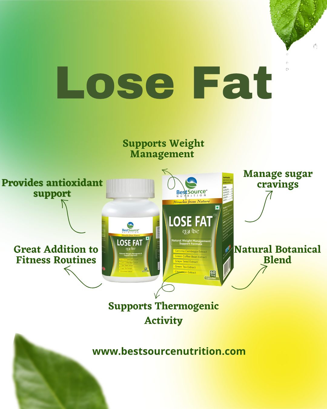 'Lose Fat' supplement, showing a white bottle and matching green/yellow box with callout text about weight management, sugar control, and natural botanical blend on a green-to-yellow gradient background.
