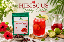 Refreshing Hibiscus Tangy Cooler Recipe for Summer Wellness