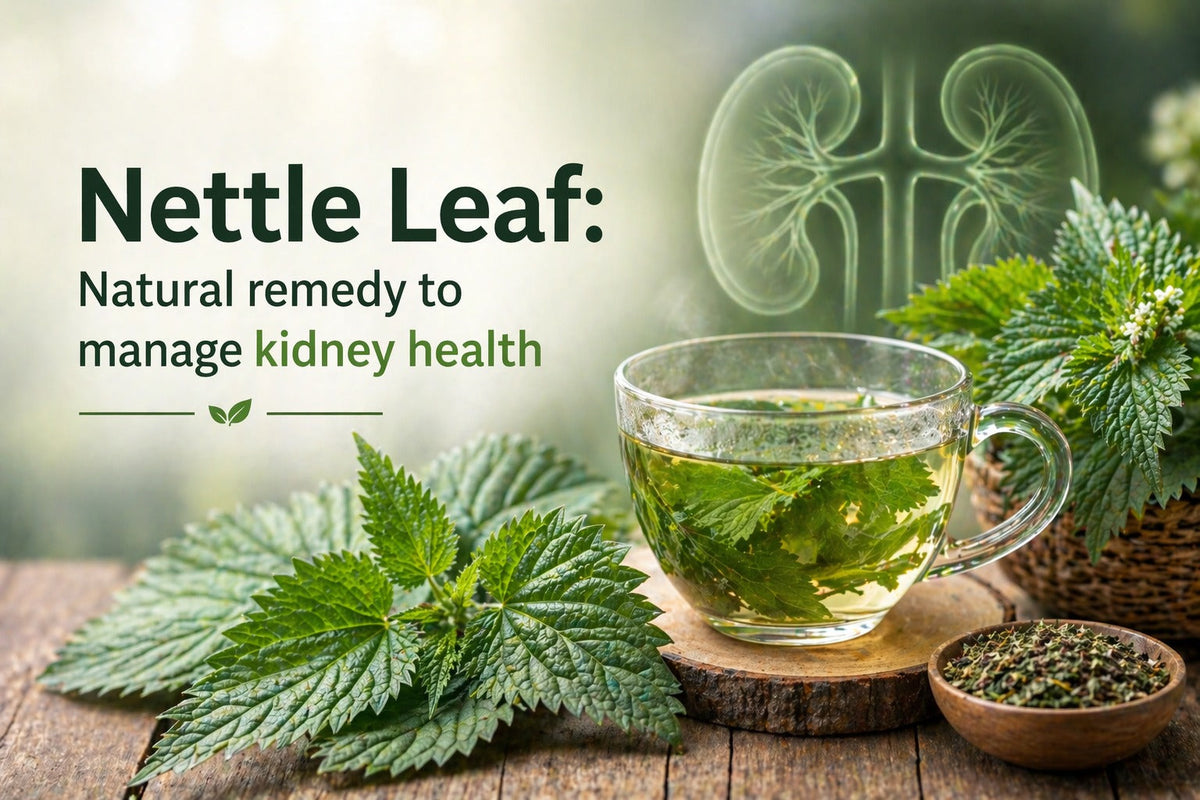 Nettle Leaf: Natural remedy to treat kidney problems