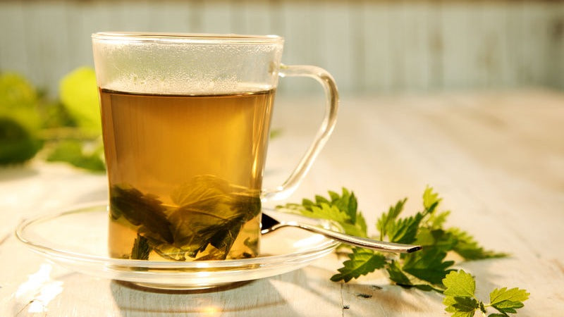 Nettle Leaf Herb: Why it is best health boosting herb for women?
