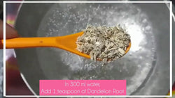 Dandelion Root Infusion Recipe