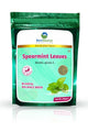 Spearmint for Hormonal Balance