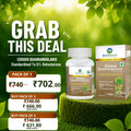 cissus offers