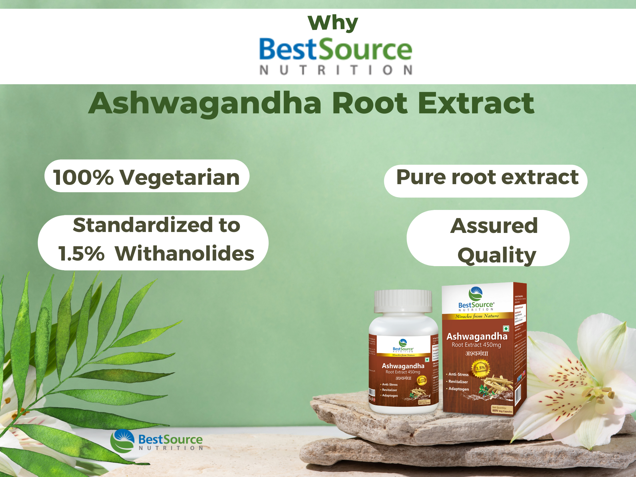 Why BestSource Nutrition's Ashwagndha reasons with product bottle placed on white rock