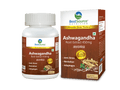 Ashwagandha Root Extract (450mg), 60 Veg caps