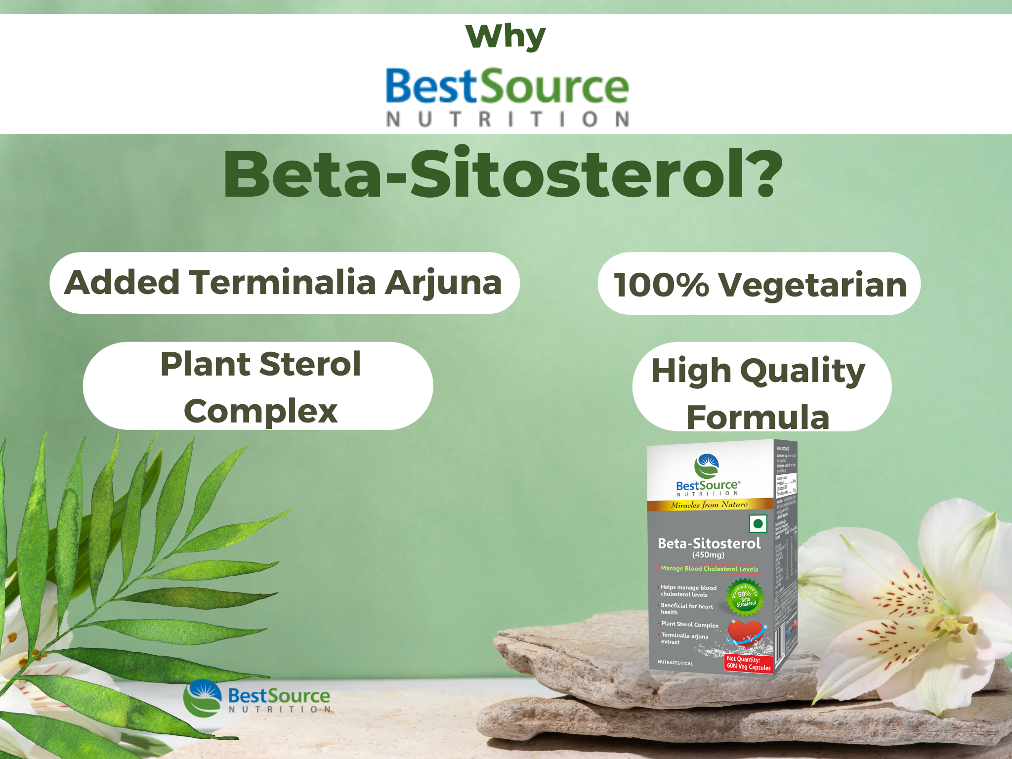 bestsource beta sito sterol features