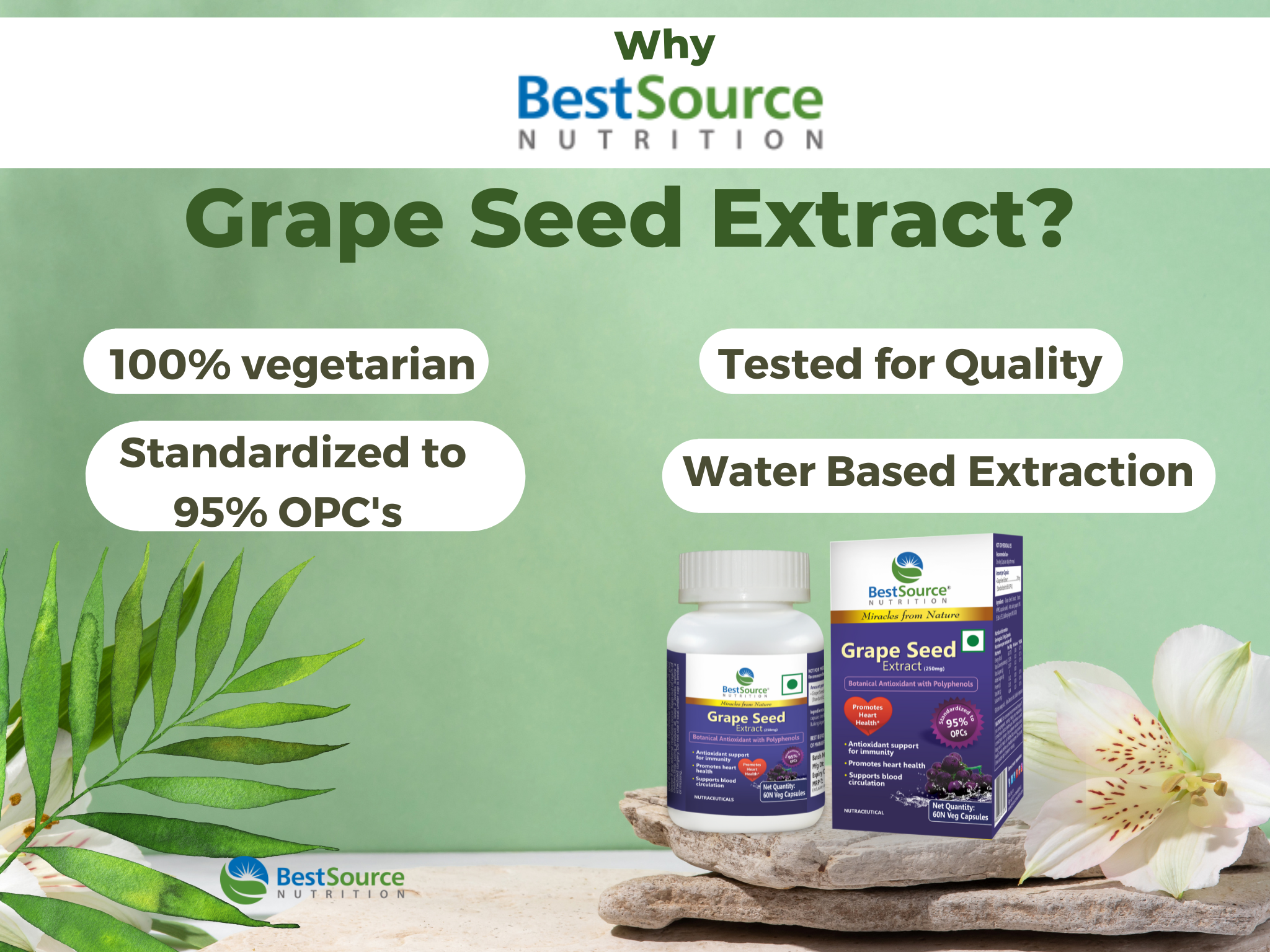 Grape Seed Extract