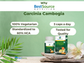 Garcinia Cambogia (HCA) - features BestSourceNutrition.com