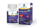 Grape Seed Extract - BestSource Nutrition