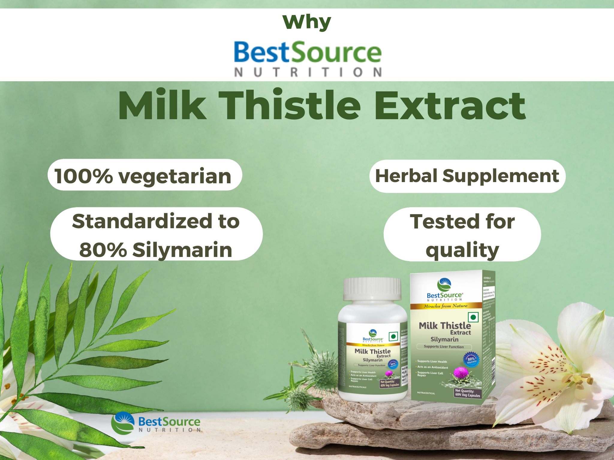 Silymarin Milk Thistle Supplement
