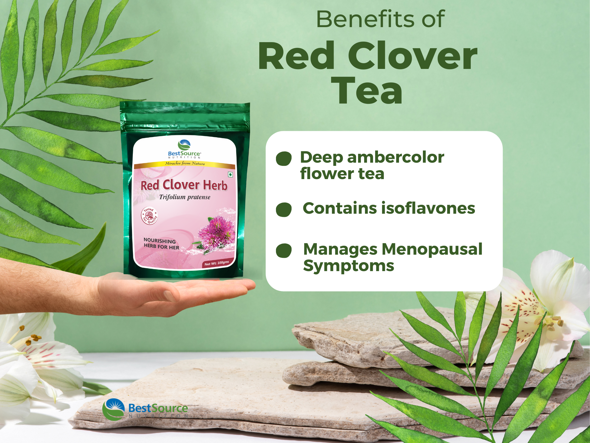 Red Clover Herb