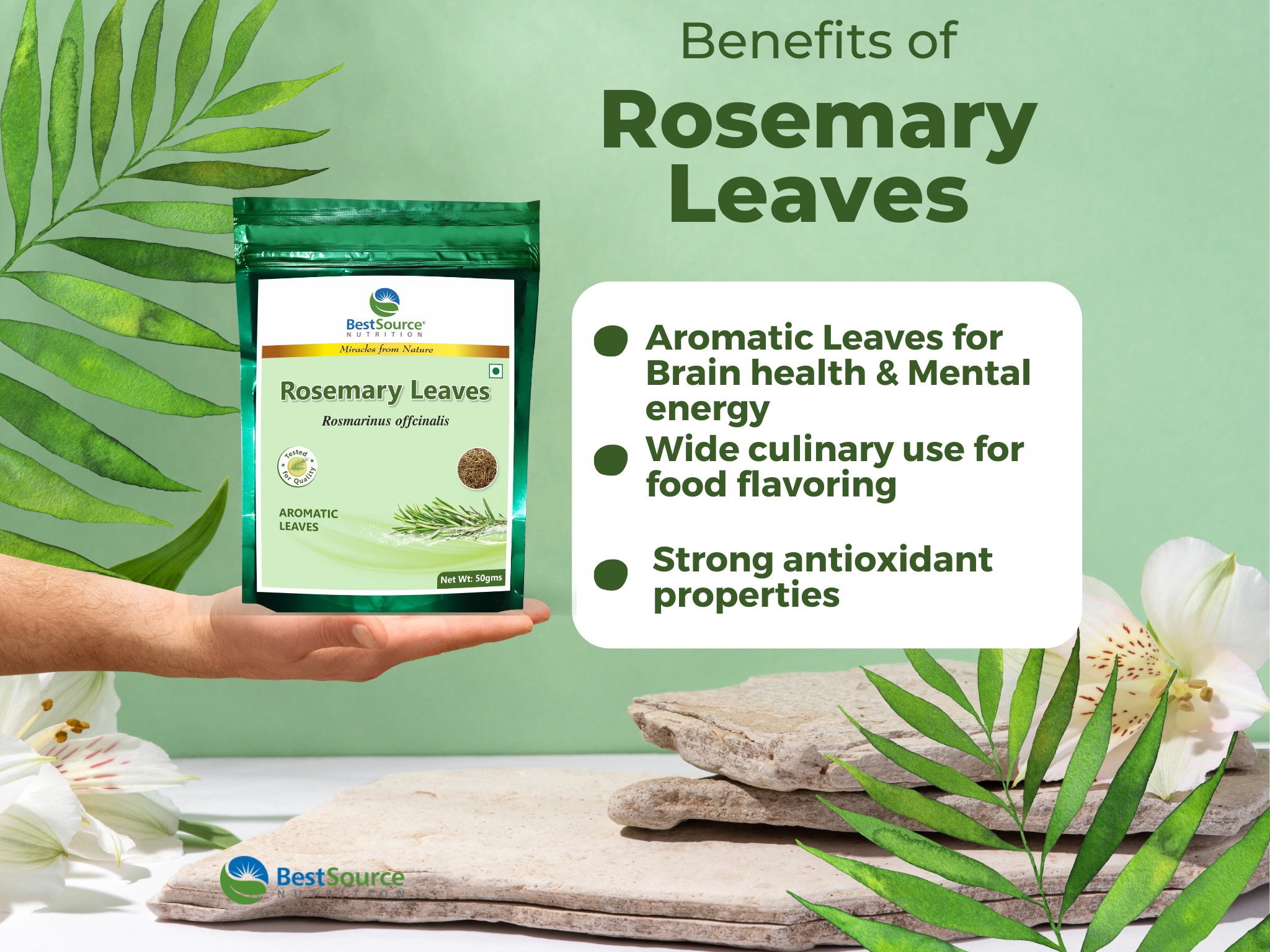 Rosemary Leaves
