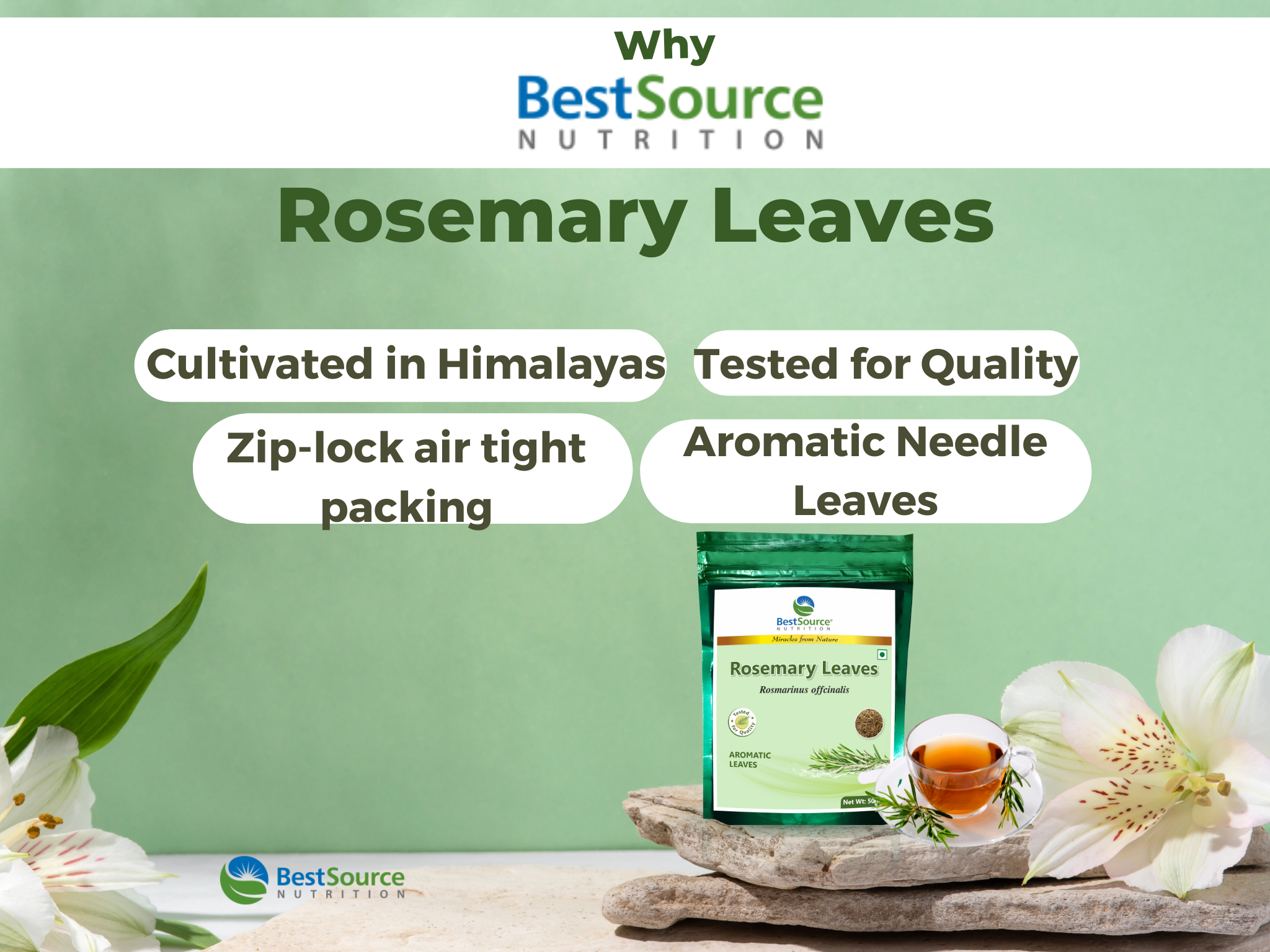 Rosemary Leaves